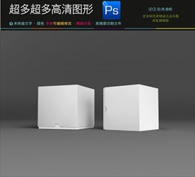 空白盒子样机效果图
