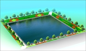 池塘绿化效果图