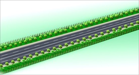 道路绿化效果图