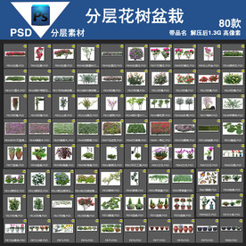 80款psd花树盆栽高清带名称