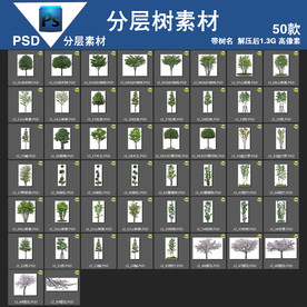 50款psd树分层高清带树名