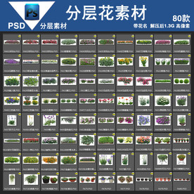 80款psd花分层高清带花名