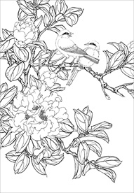 茶花 白描 素描 线描 国画