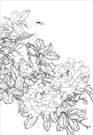 茶花 白描 素描 线描 国画