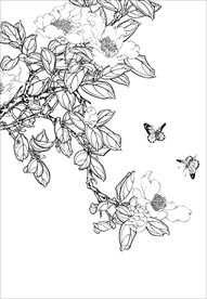 茶花 白描 素描 线描 国画
