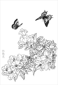 杜鹃花   白描 素描 线描