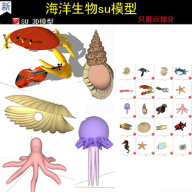 海洋动物模型