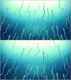 动画模拟遗传细胞竞赛