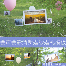 会声会影清新婚纱婚礼相册模板