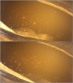 唯美鎏金动态背景视频