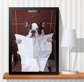 宠物海报  宠物店 宠物医院