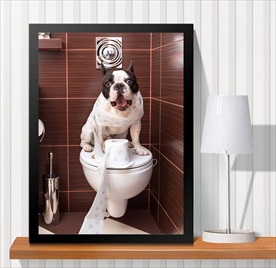 宠物海报  宠物店 宠物医院