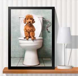 宠物海报  宠物店 宠物医院