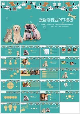 宠物店宠物美容宠物医院PPT