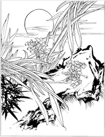 水仙花线描 水仙花白描 水仙花