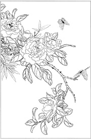 茶花线描 茶花白描 茶花素描