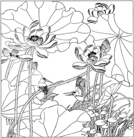 荷花线描 荷花白描 荷花素描