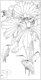 荷花线描 荷花白描 荷花素描