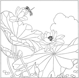 荷花线描 荷花白描 荷花素描