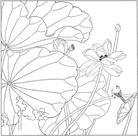 荷花线描 荷花白描 荷花素描