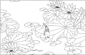 荷花线描 荷花白描 荷花素描