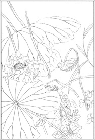 荷花线描 荷花白描 荷花素描