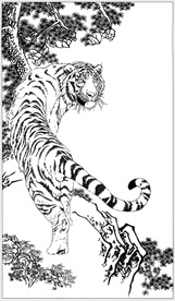 老虎线描 老虎白描 老虎素描