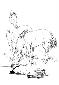 骏马线描 骏马白描 骏马素描