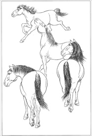 骏马线描 骏马白描 骏马素描
