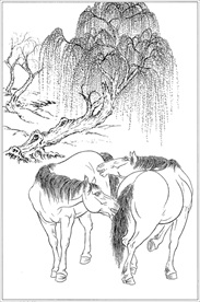 骏马线描 骏马白描 骏马素描