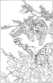 猫咪线描 猫咪白描 猫咪素描