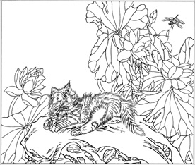 猫咪线描 猫咪白描 猫咪素描