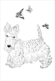 名犬线描 名犬白描 名犬素描