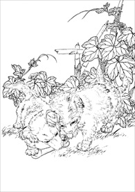 名犬线描 名犬白描 名犬素描