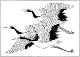 仙鹤线描 仙鹤白描 仙鹤素描