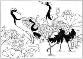 仙鹤线描 仙鹤白描 仙鹤素描