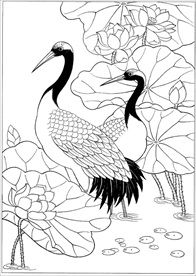 仙鹤线描 仙鹤白描 仙鹤素描