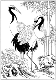 仙鹤线描 仙鹤白描 仙鹤素描