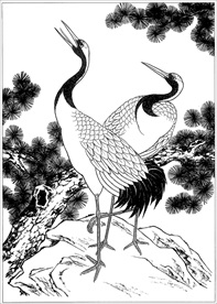 仙鹤线描 仙鹤白描 仙鹤素描