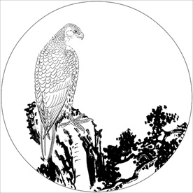 雄鹰线描 雄鹰白描 雄鹰素描