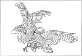 雄鹰线描 雄鹰白描 雄鹰素描