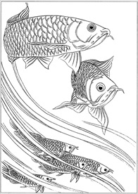 连年有余 鲤鱼线描 金鱼线描