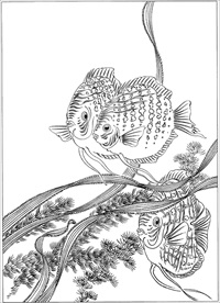 连年有余 鲤鱼线描 金鱼线描