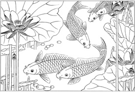 连年有余 鲤鱼线描 金鱼线描