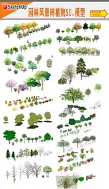 2D树木模型