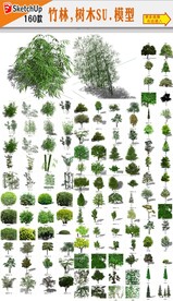 园林植物SU模型