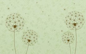 现代简约蒲公英电视背景墙