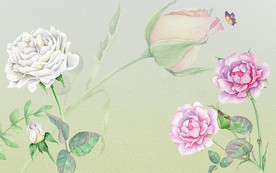 手绘玫瑰电视机背景墙