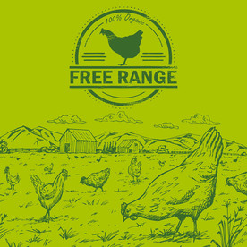 土鸡乡村矢量设计素材