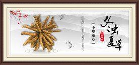 冬虫夏草